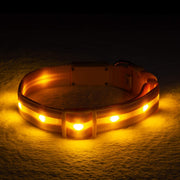 USB Rechargeable & Waterproof Light-Up Pet Collar for Night Safety - My Store Pet
