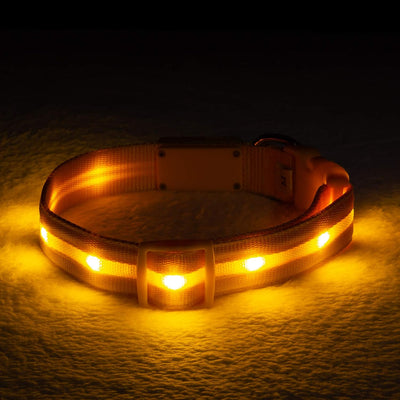 USB Rechargeable & Waterproof Light-Up Pet Collar for Night Safety - My Store Pet