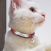 Personalized Leather Cat Collar – Custom Adjustable Kitten & Puppy ID Collar with Name Tag & Anti-Lost Design