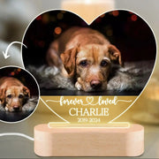 Custom Dog Photo Night Light – Personalized Pet Memorial Plaque with LED Light for Pet Loss Tribute - My Store Pet