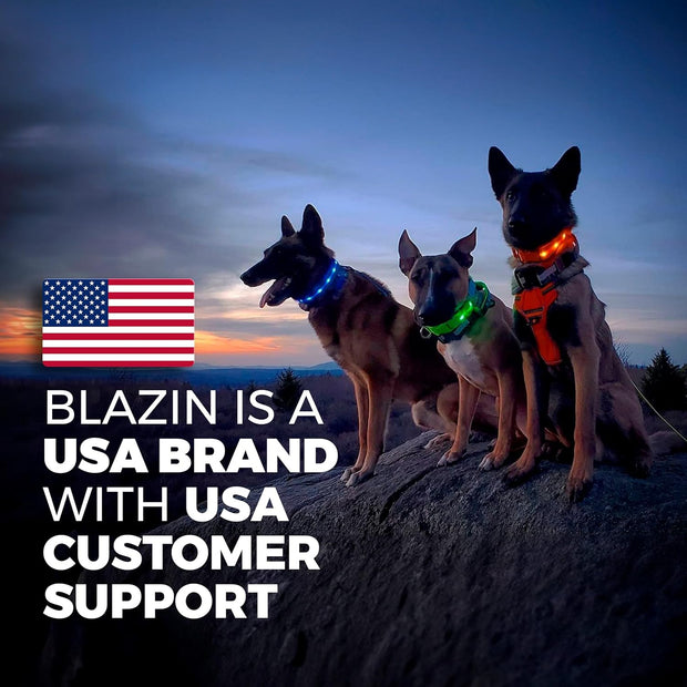 USB Rechargeable & Waterproof Light-Up Pet Collar for Night Safety - My Store Pet