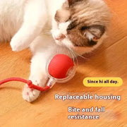 Rechargeable Smart Rolling Pet Toy Ball – Automatic Interactive Dog & Cat Ball with Simulated Tail - My Store Pet