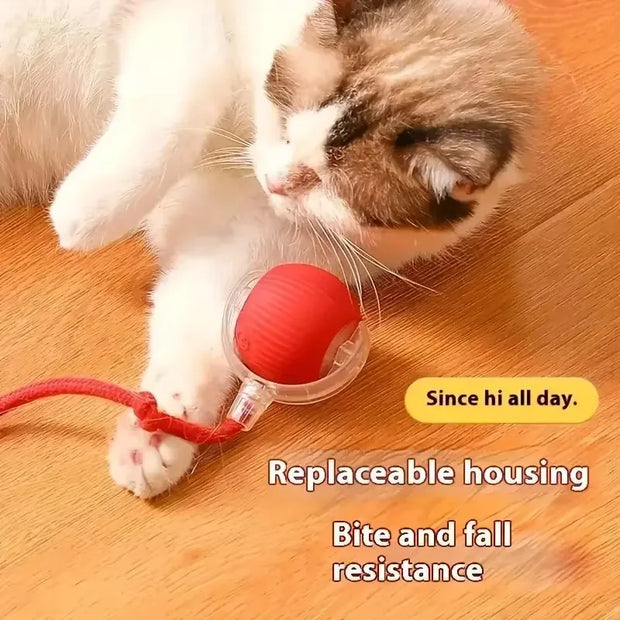 Rechargeable Smart Rolling Pet Toy Ball – Automatic Interactive Dog & Cat Ball with Simulated Tail - My Store Pet