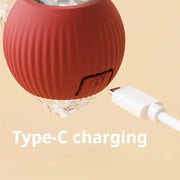 Automatic Rolling Dog Ball – Rechargeable Smart Interactive Toy for Dogs & Cats with Plush Mouse Cover - My Store Pet