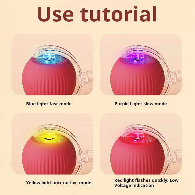 Automatic Rolling Dog Ball – Rechargeable Smart Interactive Toy for Dogs & Cats with Plush Mouse Cover - My Store Pet