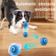 Smart Interactive Dog Toy Ball – USB Rechargeable Automatic Bouncing & Moving Ball for Puppies, Dogs & Cats - My Store Pet