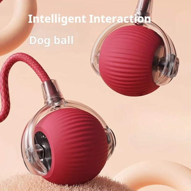 Automatic Rolling Dog Ball – Rechargeable Smart Interactive Toy for Dogs & Cats with Plush Mouse Cover - My Store Pet