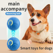 Smart Interactive Dog Toy Ball – USB Rechargeable Automatic Bouncing & Moving Ball for Puppies, Dogs & Cats - My Store Pet