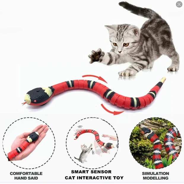 USB Rechargeable Automatic Cat Toy for Indoor Play - My Store Pet