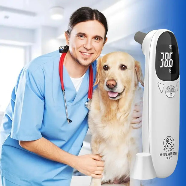 Non-Contact Digital Pet Thermometer – Accurate Ear & Forehead Temperature Measurement for Dogs & Cats - My Store Pet