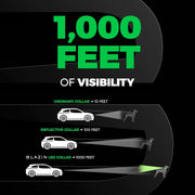 USB Rechargeable & Waterproof Light-Up Pet Collar for Night Safety - My Store Pet