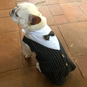 Camicia formale per animali domestici abbigliamento per cani principe abito da festa di nozze smoking papillon cucciolo vestiti cappotto primavera estate Costume - My Store Pet