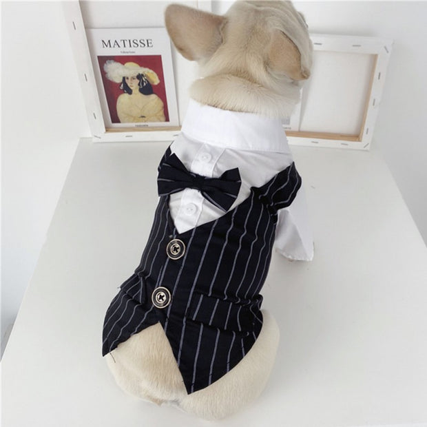 Camicia formale per animali domestici abbigliamento per cani principe abito da festa di nozze smoking papillon cucciolo vestiti cappotto primavera estate Costume - My Store Pet