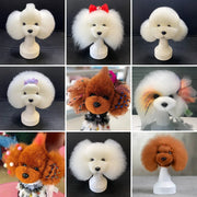 Simulazione dell'animale domestico capelli pratica di bellezza cane standard teddy dog intero corpo capelli finti solo Pet Grooming Trimming practice - My Store Pet