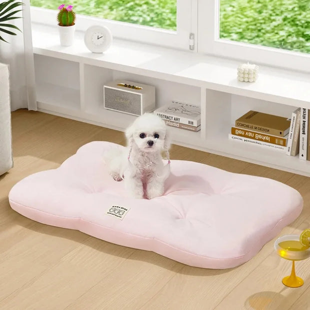 Prodotti per cani Letti/tapetini sottopelle per cani Articoli Tappetino piccolo Letto per animali Accessori per animali Letto piccolo/tapetini Divano Case Accessori Casa - My Store Pet