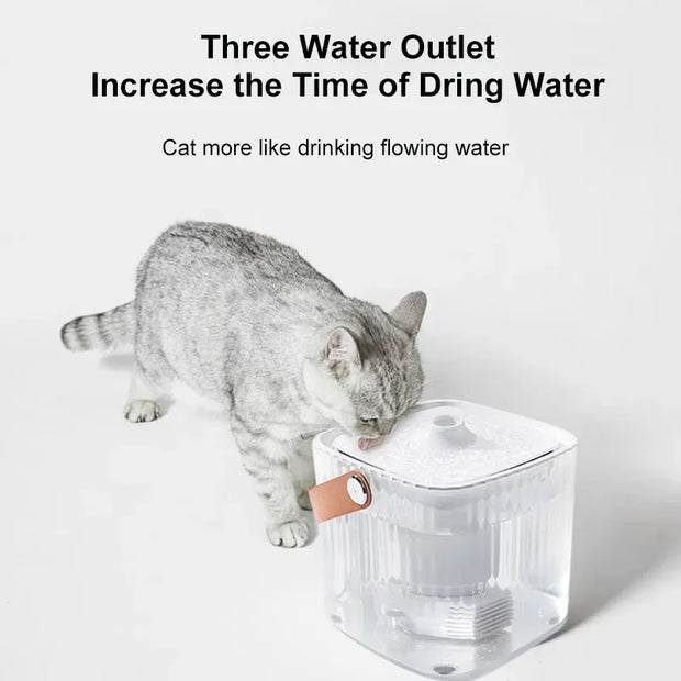 Distributore automatico di fontana d'acqua per gatti per animali domestici per gatti e cani - My Store Pet