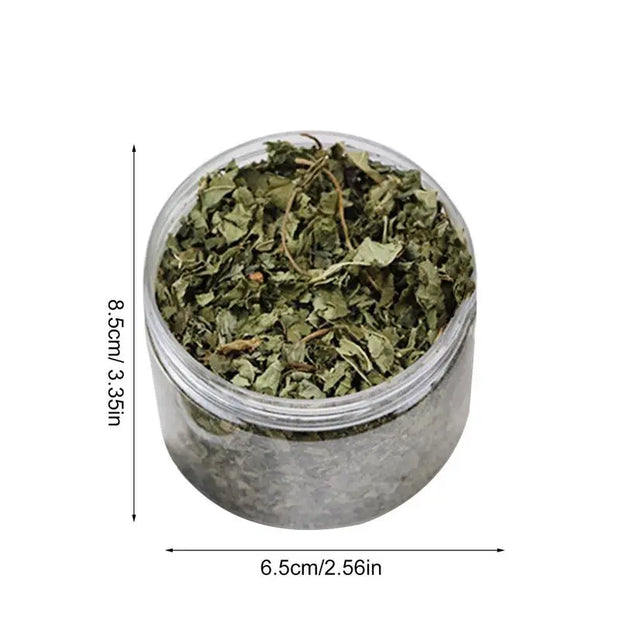 Catnip naturale organico Premium cattarts Cat Toy Cataria per eliminare i gatti Hairballs che assorbono gli alimenti integratore vitaminico - My Store Pet