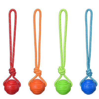 Giocattoli con palline per cani Palla di gomma rimbalzante Giocattoli da masticare Palla giocattolo per cani da compagnia con corde Giocattoli interattivi per giochi di cuccioli di grandi dimensioni - My Store Pet
