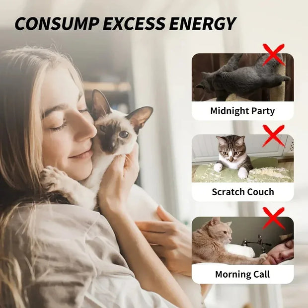 Acquista uno, ricevi due in omaggio! Nuova promozione prodotto Asta telescopica per gatti a quattro sezioni estensibile in metallo con motivo a cartoni animati - My Store Pet