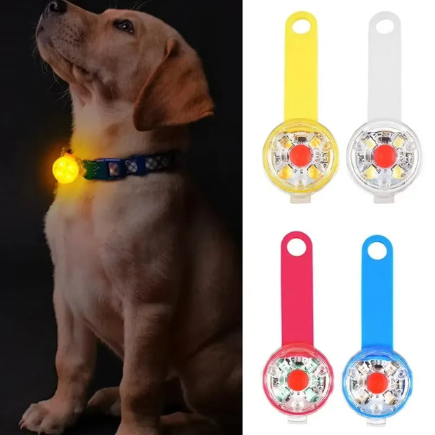 Collare per cani, collare per perdita, luce di sicurezza a LED resistente alle intemperie, collare luminoso a LED ricaricabile tramite USB, cane, gatto, animale domestico - My Store Pet