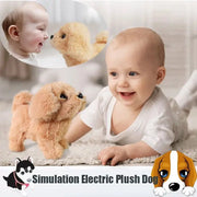 Cani giocattolo per bambini che camminano e abbaia Coda che scodinzolante Peluche Animali elettronici interattivi Cuccioli Giocattoli Montessori per ragazze Bambini piccoli Bambini - My Store Pet