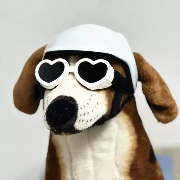 Caschi per animali domestici, casco per gatti, casco per cani-mini testa per esterni che protegge il cappello sicuro Casco per moto per cani Accessori per foto per animali domestici - My Store Pet