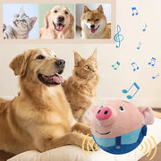Giocattolo elettronico per cani da compagnia vibrazione musicale palla che rimbalza morso cucciolo palla attivo in movimento Pet peluche canta cane da masticare Squeaker giocattolo per cani - My Store Pet