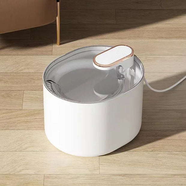 Distributore d'acqua per cani e gatti, per bere acqua, non bocca bagnata, filtro di circolazione automatico, flusso plug-in, forniture per animali domestici - My Store Pet
