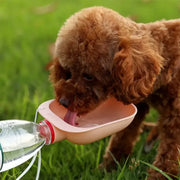 Bottiglia d'acqua da viaggio per cani Bottiglia d'acqua portatile per cani da compagnia Alimentatore per acqua potabile per cane Gatto Bottiglia per ciotola d'acqua per esterni Forniture per animali domestici - My Store Pet