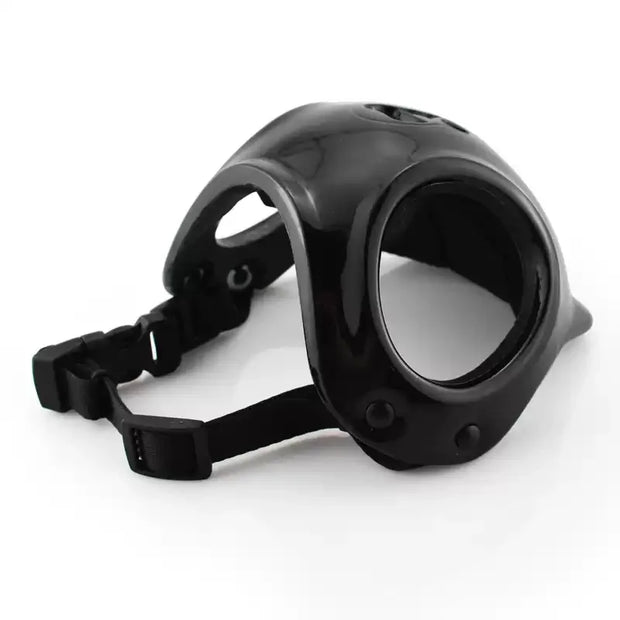 Caschi per animali domestici, casco per gatti, casco per cani-mini testa per esterni che protegge il cappello sicuro Casco per moto per cani Accessori per foto per animali domestici - My Store Pet