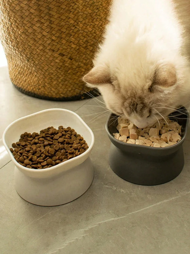 1Pc ciotola per animali domestici, mangiatoia per acqua e cibo, per gatti e cani di piccola taglia - My Store Pet