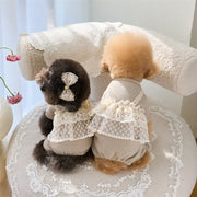 Pet Primavera Estate Tuta Carino Canotta di pizzo Cucciolo Teddy Cat Waffle Pizzo Cappotto a quattro zampe Cane di piccola taglia Vestiti per cuccioli Pigiama per cani - My Store Pet