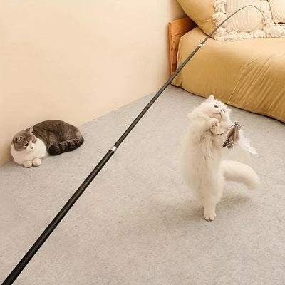 Acquista uno, ricevi due in omaggio! Nuova promozione prodotto Asta telescopica per gatti a quattro sezioni estensibile in metallo con motivo a cartoni animati - My Store Pet