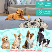 Tappetino da fiuto per cani Giocattoli per animali domestici Addestramento interattivo Sniff Tappetino per alimentazione naturale Squeaker Trattare per cani Alleviare la pressione Snuffle Toys - My Store Pet