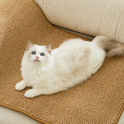 Tappetino per tiragraffi per gatti per interni tappetino protettivo resistente all'usura per gatti per gattini - My Store Pet