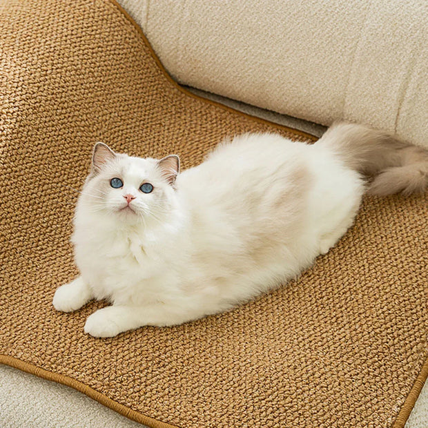 Tappetino per tiragraffi per gatti per interni tappetino protettivo resistente all'usura per gatti per gattini - My Store Pet