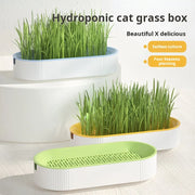 Scatola per erba idroponica per gatti, dolcetti per gatti, erba gatta, piantagione idroponica senza terreno, set di vasi per erba per gatti per una facile crescita - My Store Pet