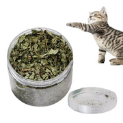 Catnip naturale organico Premium cattarts Cat Toy Cataria per eliminare i gatti Hairballs che assorbono gli alimenti integratore vitaminico - My Store Pet