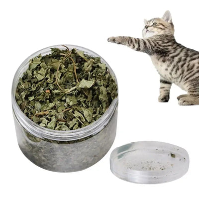 Catnip naturale organico Premium cattarts Cat Toy Cataria per eliminare i gatti Hairballs che assorbono gli alimenti integratore vitaminico - My Store Pet