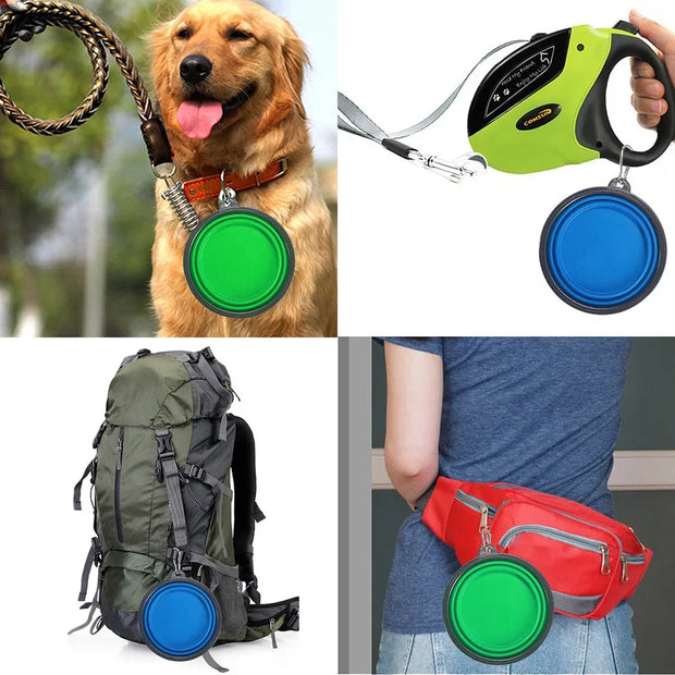 Ciotola per mangiatoia per animali domestici Ciotola pieghevole per cani da viaggio in silicone Ciotola per acqua portatile da passeggio per ciotole per gatti di taglia piccola e media Piatto per mangiare animali domestici - My Store Pet