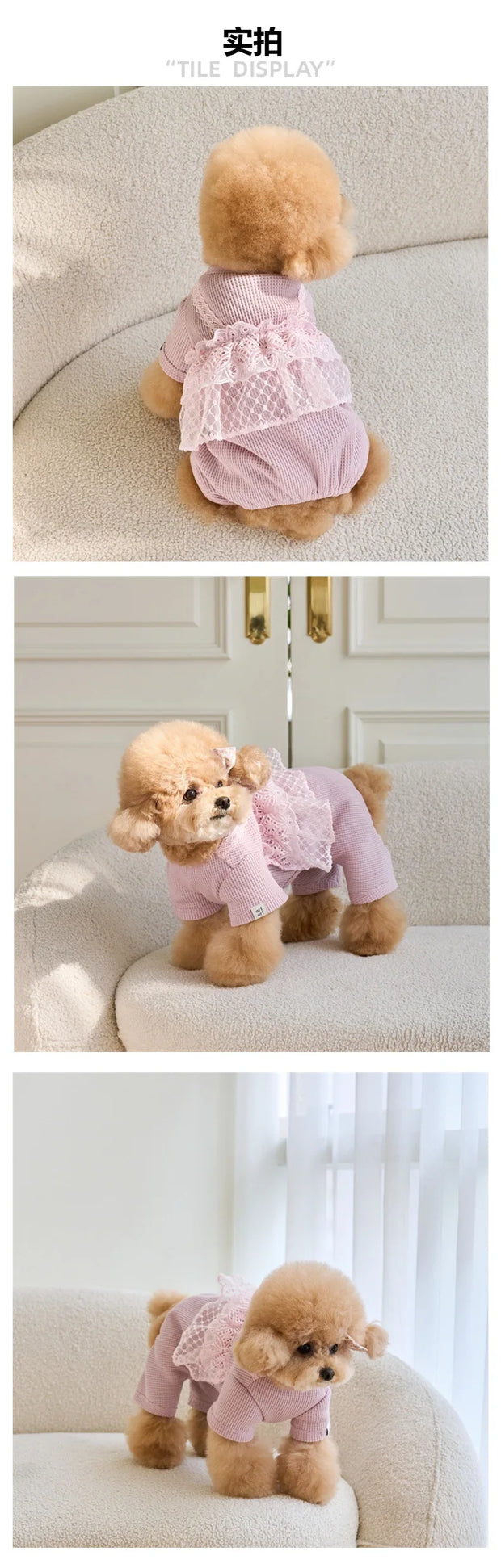 Pet Primavera Estate Tuta Carino Canotta di pizzo Cucciolo Teddy Cat Waffle Pizzo Cappotto a quattro zampe Cane di piccola taglia Vestiti per cuccioli Pigiama per cani - My Store Pet