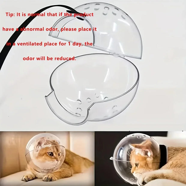 Palla di protezione per la testa del gatto, accessori per la toelettatura degli animali domestici, maschera traspirante, casco da nuoto, forniture per gatti - My Store Pet