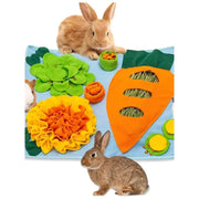 Cane Olfactory Tappeto Zerbino Sniffing Pad Puzzle per cani Ciotola per alimentazione lenta Dispenser di cibo Tappeto Naso Odore Formazione Lavabile Giocattoli per cani - My Store Pet