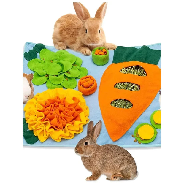 Cane Olfactory Tappeto Zerbino Sniffing Pad Puzzle per cani Ciotola per alimentazione lenta Dispenser di cibo Tappeto Naso Odore Formazione Lavabile Giocattoli per cani - My Store Pet