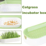 Scatola per erba idroponica per gatti, caramelle per gatti, erba per gatti, piantagione idroponica senza terreno - My Store Pet