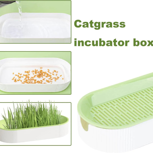 Scatola per erba idroponica per gatti, caramelle per gatti, erba per gatti, piantagione idroponica senza terreno - My Store Pet