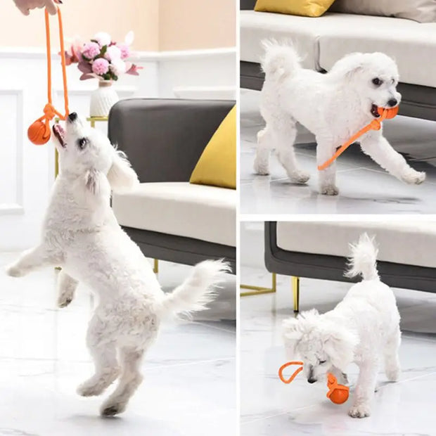 Giocattoli con palline per cani Palla di gomma rimbalzante Giocattoli da masticare Palla giocattolo per cani da compagnia con corde Giocattoli interattivi per giochi di cuccioli di grandi dimensioni - My Store Pet