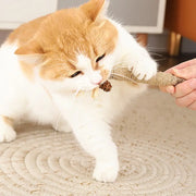 Giocattoli per gatti, Matatabi naturale, bastoncini per snack per gatti domestici, erba gatta per pulire i denti, resistente ai morsi, bastoncino per digrignare i denti, forniture per animali domestici - My Store Pet