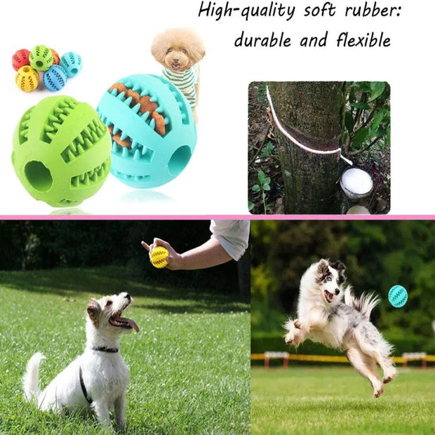 Palla giocattolo per cani Palline di gomma interattive Giocattoli da masticare per cuccioli Palla per la pulizia dei denti per animali domestici Gatti Animali domestici Alimentatore per dolcetti Palline in silicone Giocattolo - My Store Pet