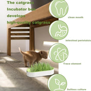 Scatola per erba idroponica per gatti, caramelle per gatti, erba per gatti, piantagione idroponica senza terreno - My Store Pet